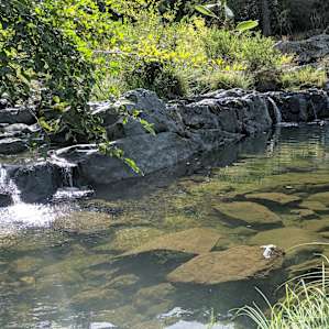 Glamp and Sleep to Creek Sounds