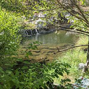 Glamp and Sleep to Creek Sounds