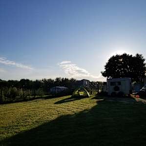 Red Lilly Orchard - a bucolic farm