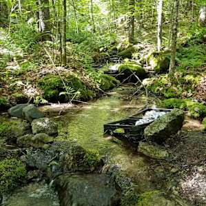 The natural spring next to the parking area that kept our drinks cold when we ran out of ice.