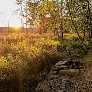 Birch Way Group Campsite