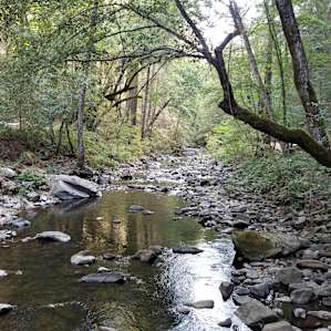 Right next to our campsite.