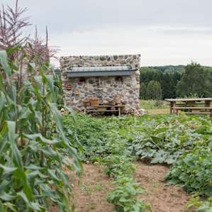 The garden is full of amazing vegetables, and has a self-serve stand for anyone wanting to stock up on fresh, organic food