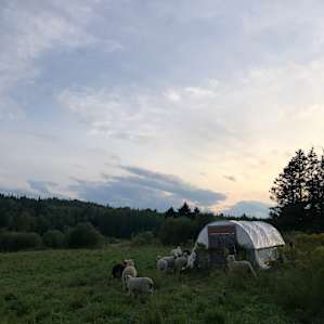 Agricultural bliss