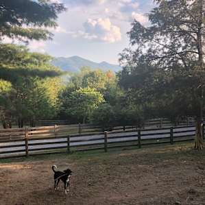 Blue Ridge Views and Space Galore!