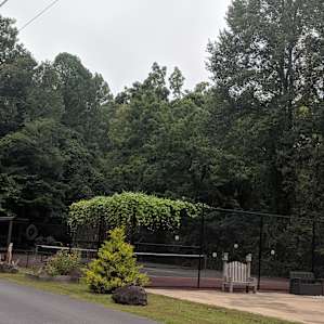 Glamping in the Smoky Mountains