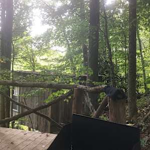 View from the deck