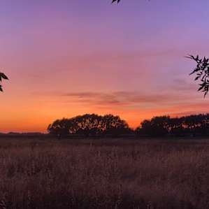 Sunset over the farmfield