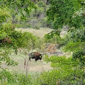 If you don't mind a drive you can find buffalo