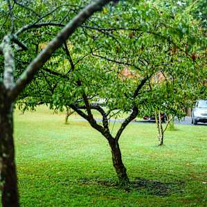 Camp Minnie Winnie-Glamping