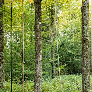 These are some of the original rope climb obstacles from when Joe started the Spartan Races on the mountain.