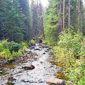North Fork Poudre Campground