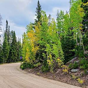 North Fork Poudre Campground
