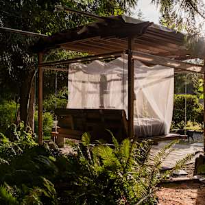 Pergola Bed Swing from the fern path.