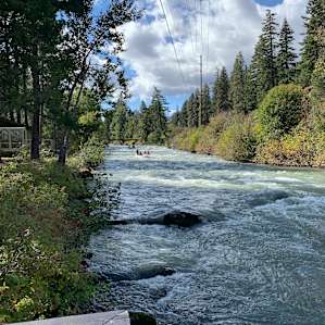 Tieton River Bunk