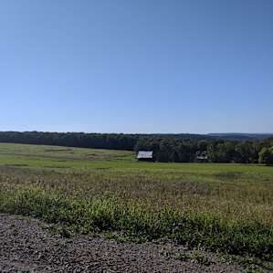 Barakah Heritage Farm Deer Meadow