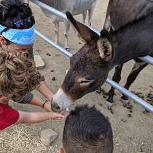 Reptacular Animals Ranch