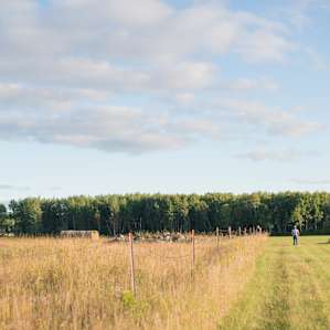 I Live in the Country