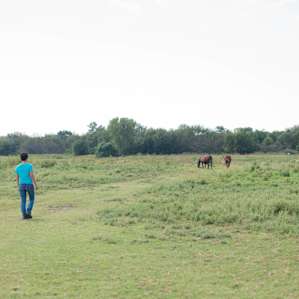 Beautiful green spaces to explore