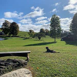 Windswept Acres Camp