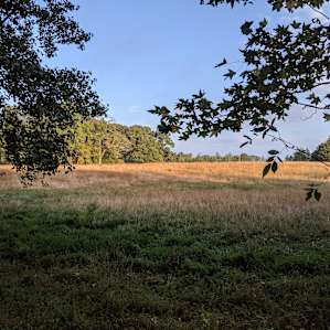 Rainbow Meadow