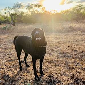 Aat the Ranch, 30 private acres