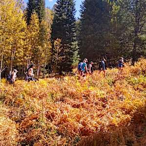 Autumn Hike