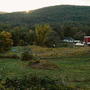 From the sites, you can get gorgeous views of the entire property.