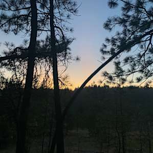Tent camping with amenities