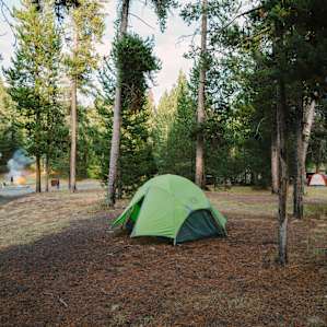 Loop H, Site 267 is near the end of the one way loop and directly across from the restroom facilities. Decent shade. (Tent only loop)