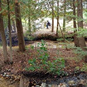 Cotton Creek Rustic Campsites