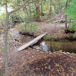 Cotton Creek Rustic Campsites