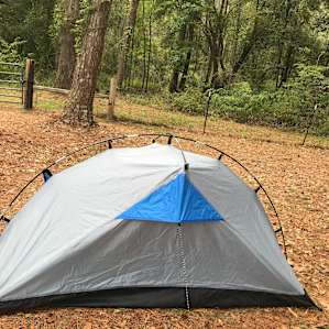 Tallahassee Outskirts Hideaway!