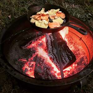 We found some
Chicken of the forest on a nearby mushroom foray that made for a mighty fine meal!