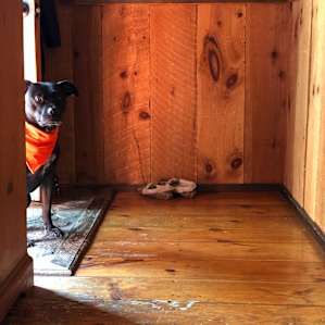 Cabin in the Woods is 420-Friendly!