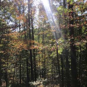 Coon Creek Cove, Mountain Hideaway