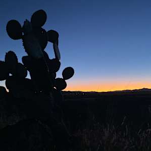 Arcosanti