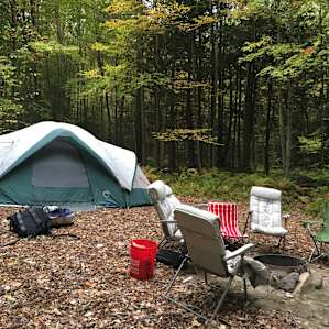 Little Creek Tent Site