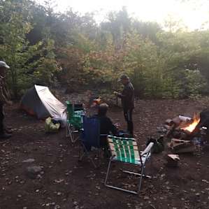 Stickney Forest Camp