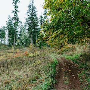 Nice walking trails.