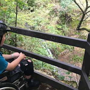There's also an overlook above Stephens Falls for those who can't make it down the trail steps to the base of the falls.