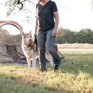 We love that the site is pet friendly!