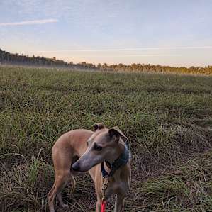 Savanna Creek Farm