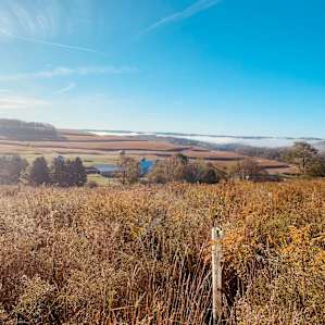 Glamping at the Honey Farm