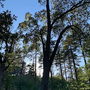 Bell Tent Glamping | Mount Laguna
