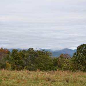 Rocky Run Sustainable Farm Share