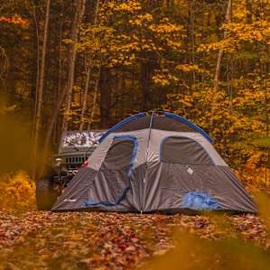 Tucked away in the woods