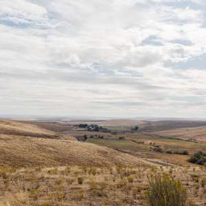 The view from up on one of the hills in the property. Drive up and camp out on the lookout of just go for a walk!