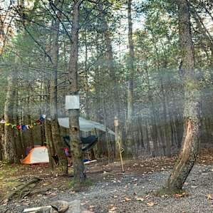 Site #4