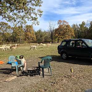 Fiber Farm, Your Tent & More!